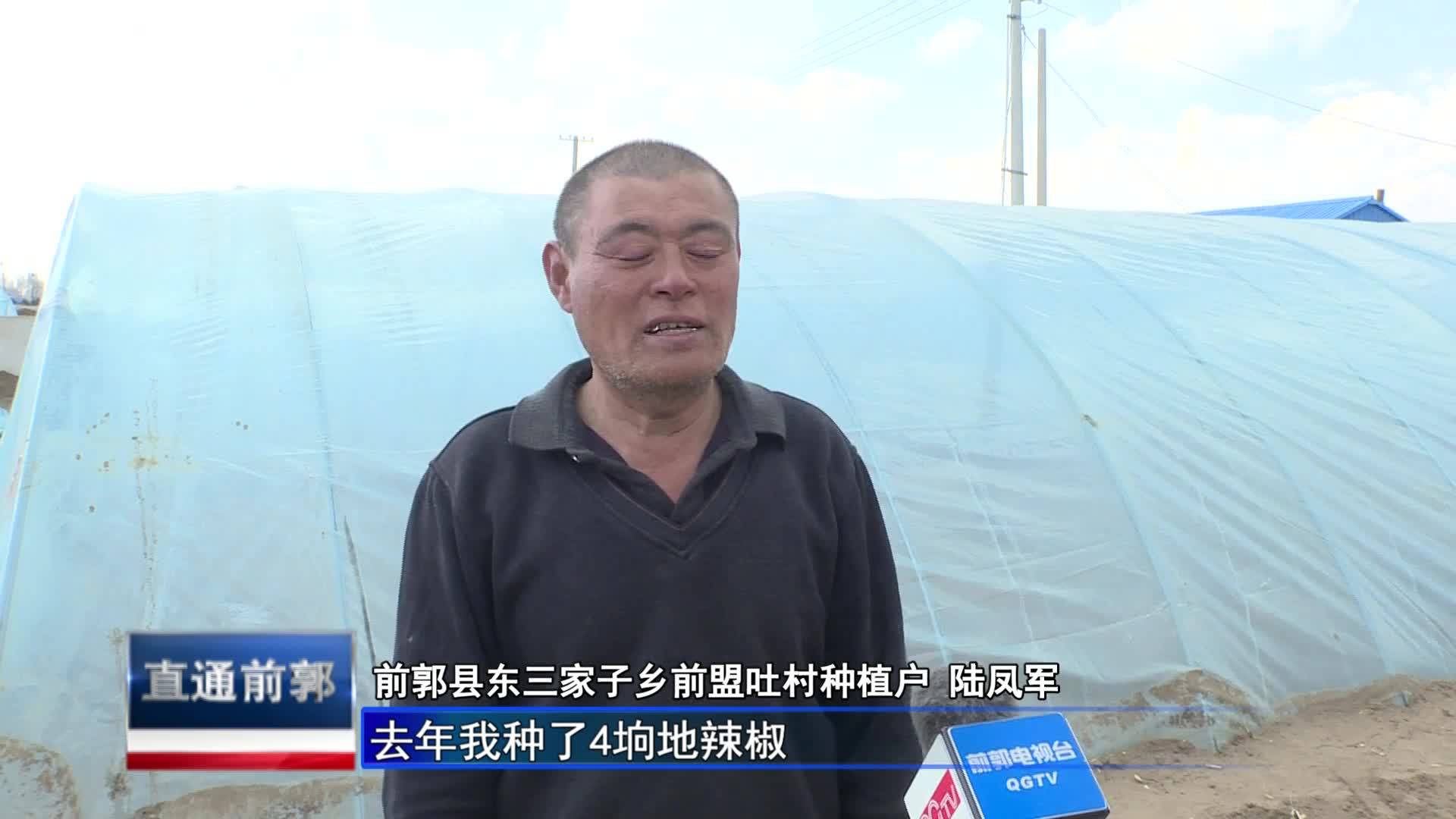 直通县市区2025年5月27日前郭     乡村振兴进行时  前郭县东三家子乡：庭院“方寸地”致富“增收园”VA0