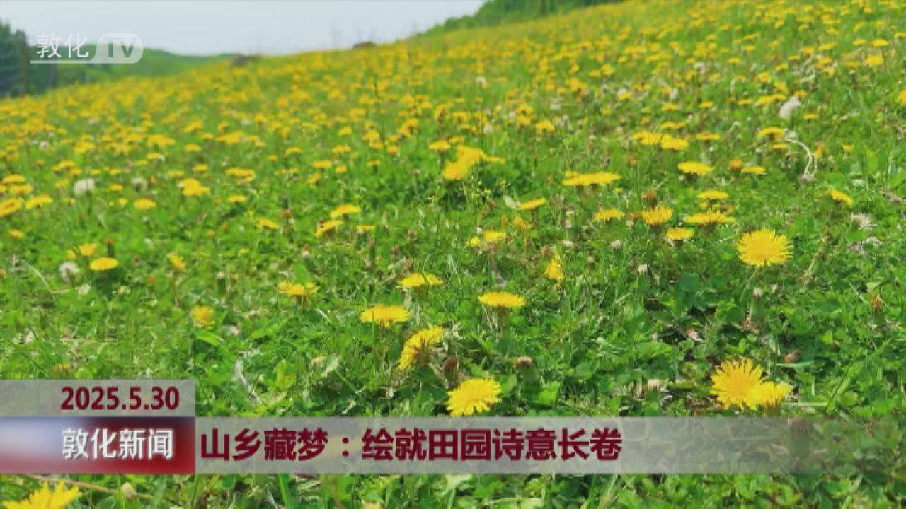 山乡藏梦：绘就田园诗意长卷