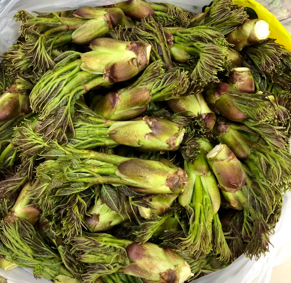 初夏尝鲜正当时！中医院教您解锁“舌尖上的野味”全攻略