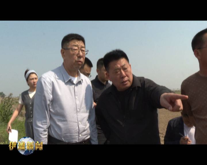 孙立阳深入一线检查指导防汛工作