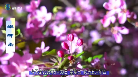瞰辉南2025年05月30日