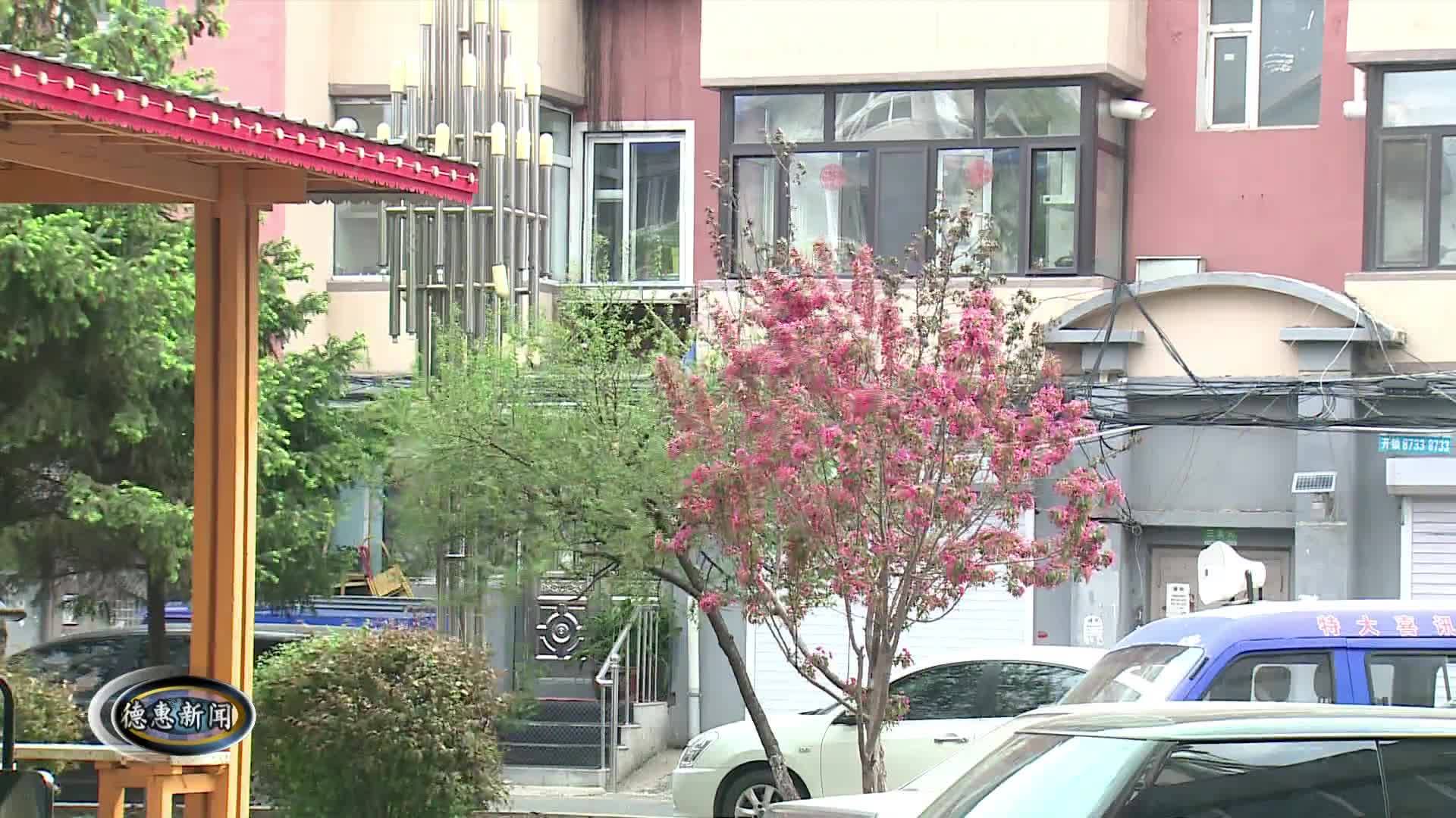 6月2日德惠新闻