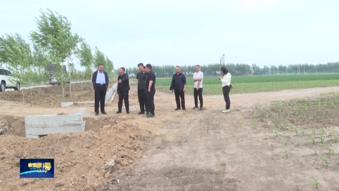 县委书记白松巍深入基层乡镇调研当前重点工作