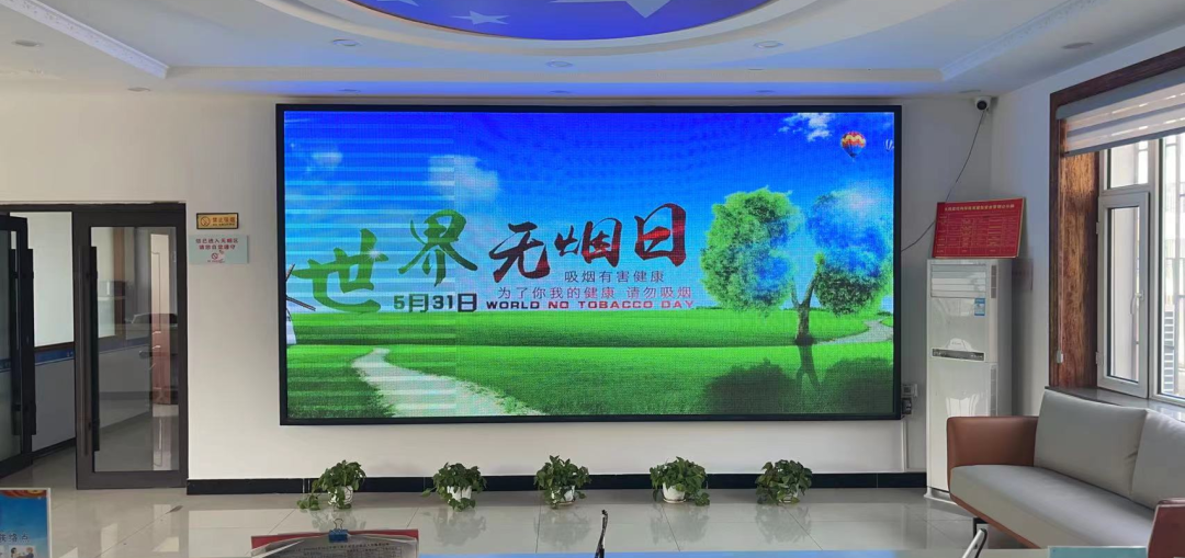 镇赉县赉北街道组织开展世界无烟日宣传活动