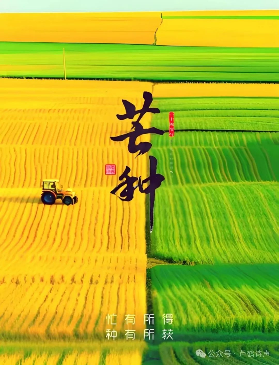 镇赉诗词·镇赉县诗词楹联家协会“芒种节气”集体作品