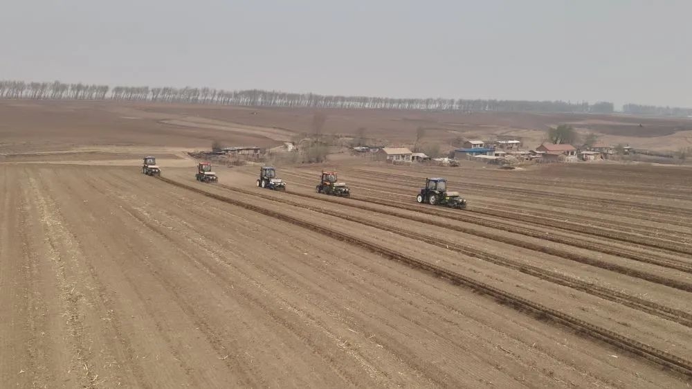 新华社点赞吉林：留下更多秸秆保护黑土地