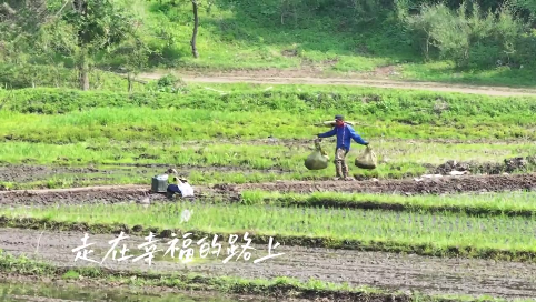 走在幸福的路上