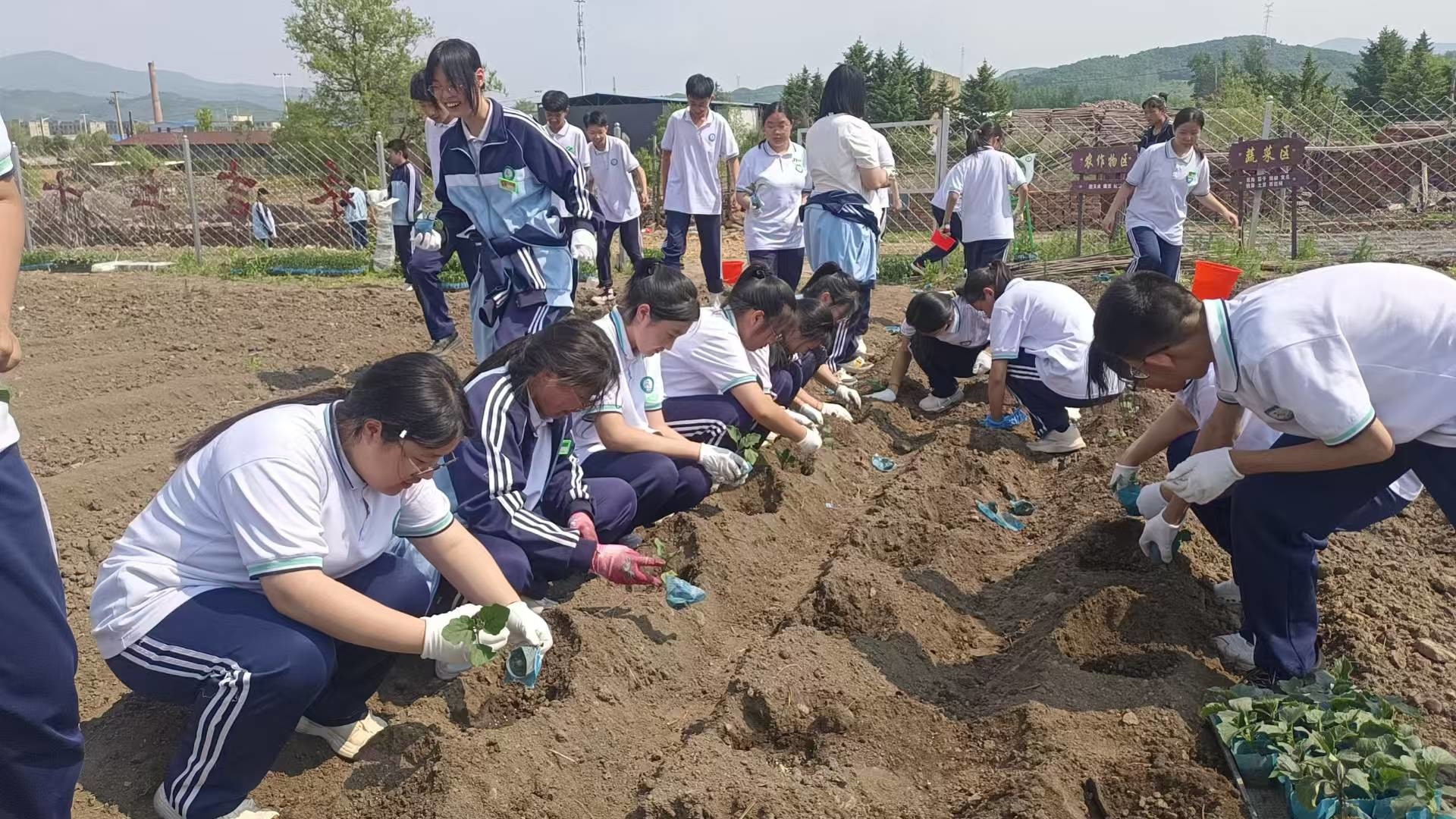 永吉三十五中开展劳动教育实践活动