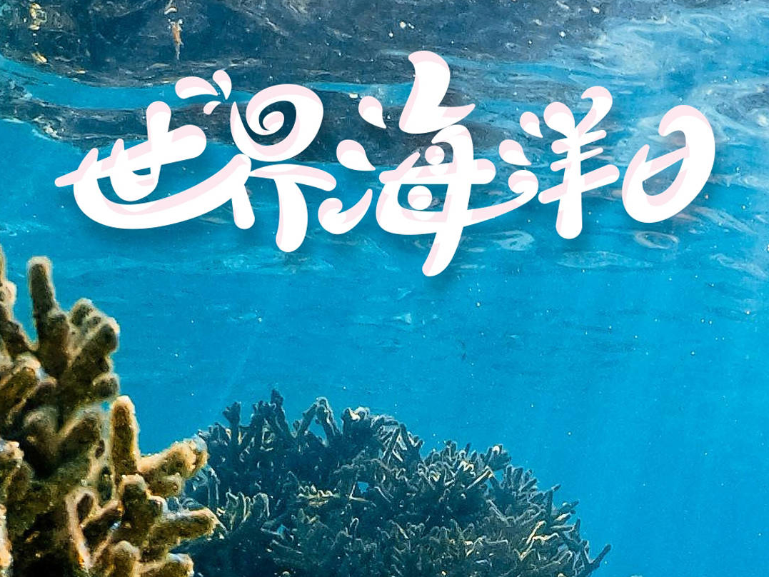 文明日历 | 2025年6月8日