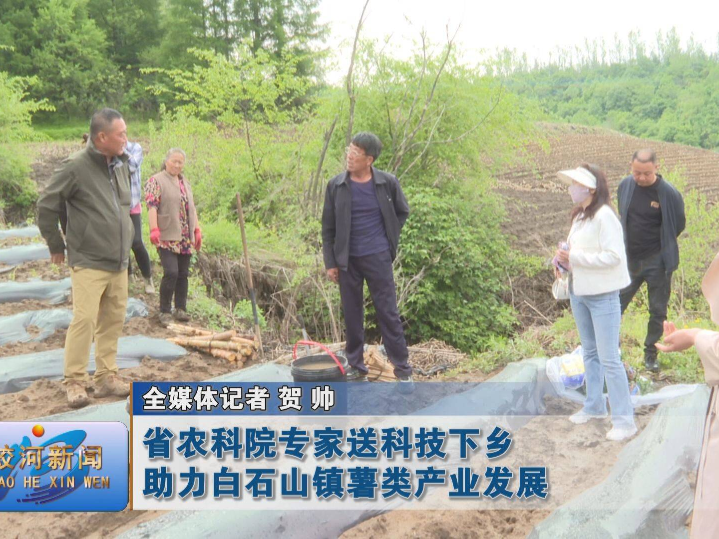 省农科院专家送科技下乡 助力白石山镇薯类产业发展