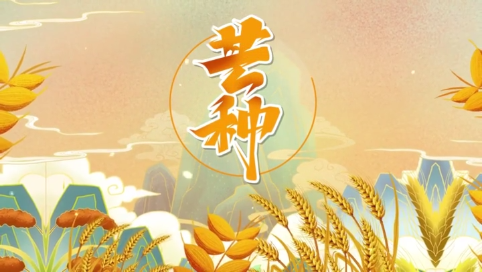 今日芒种 | “芒”有所获 “种”有所得