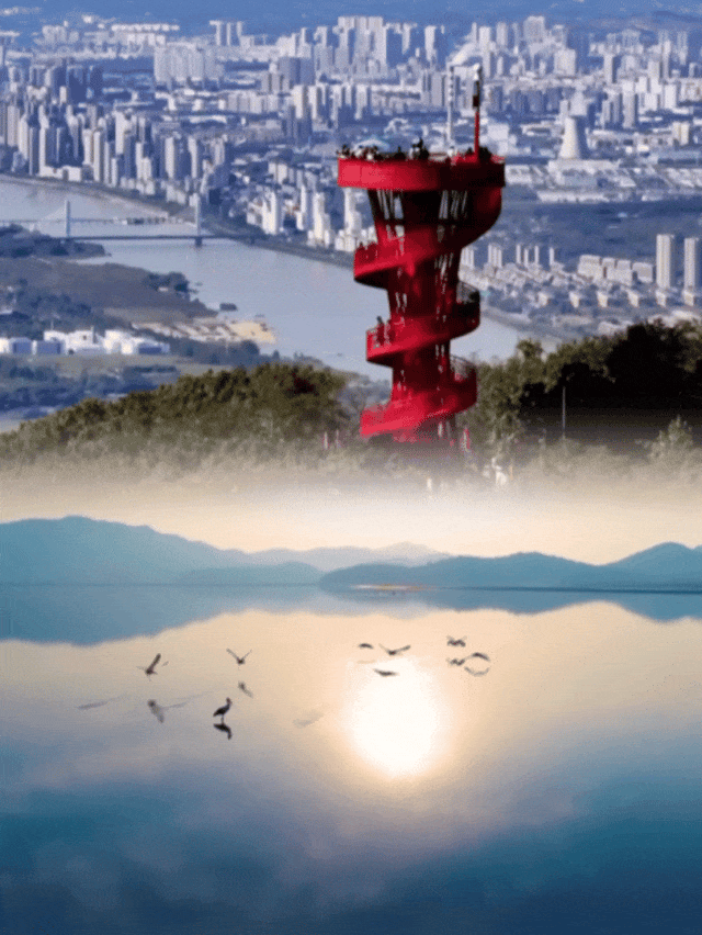 13.GIF