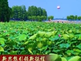 新思想引领新征程丨加快建设人与自然和谐共生的美丽中国