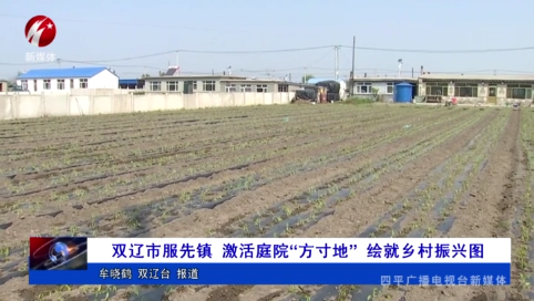 双辽市服先镇 激活庭院“方寸地” 绘就乡村振兴图