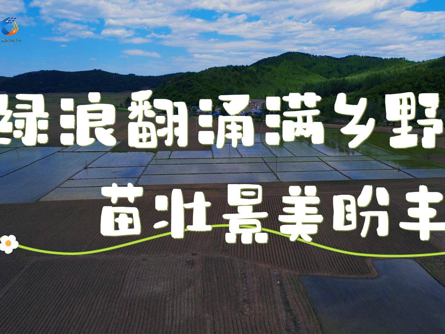 永吉县黄榆乡：绿浪翻涌满乡野，苗壮景美盼丰年