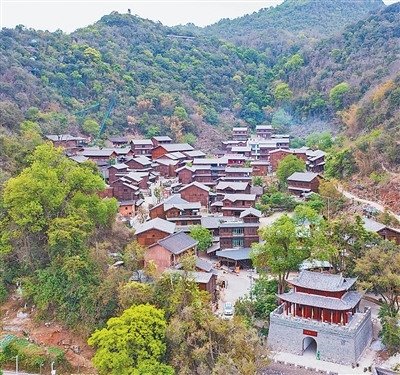 石斛满山 农旅相宜（寻找最美乡村·六郎城村）