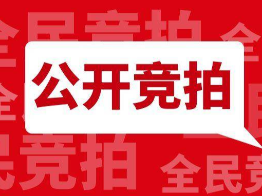 手慢无！朝阳大街这些门市正在竞拍...
