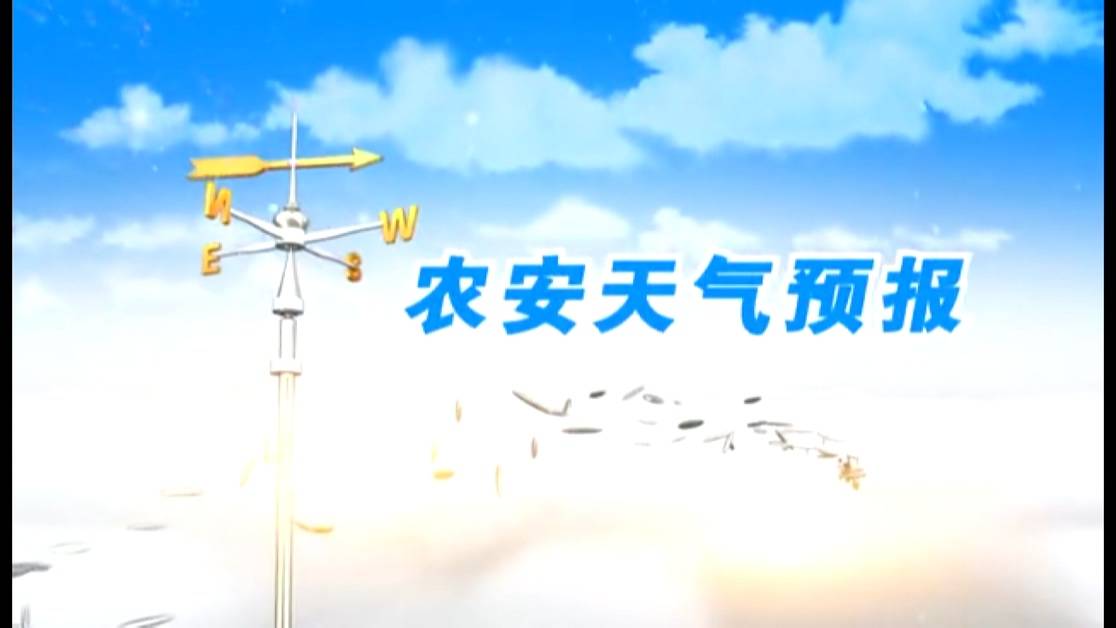 天气预报20250613