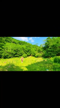悠游永吉 | 快来打卡口前镇紫薇山