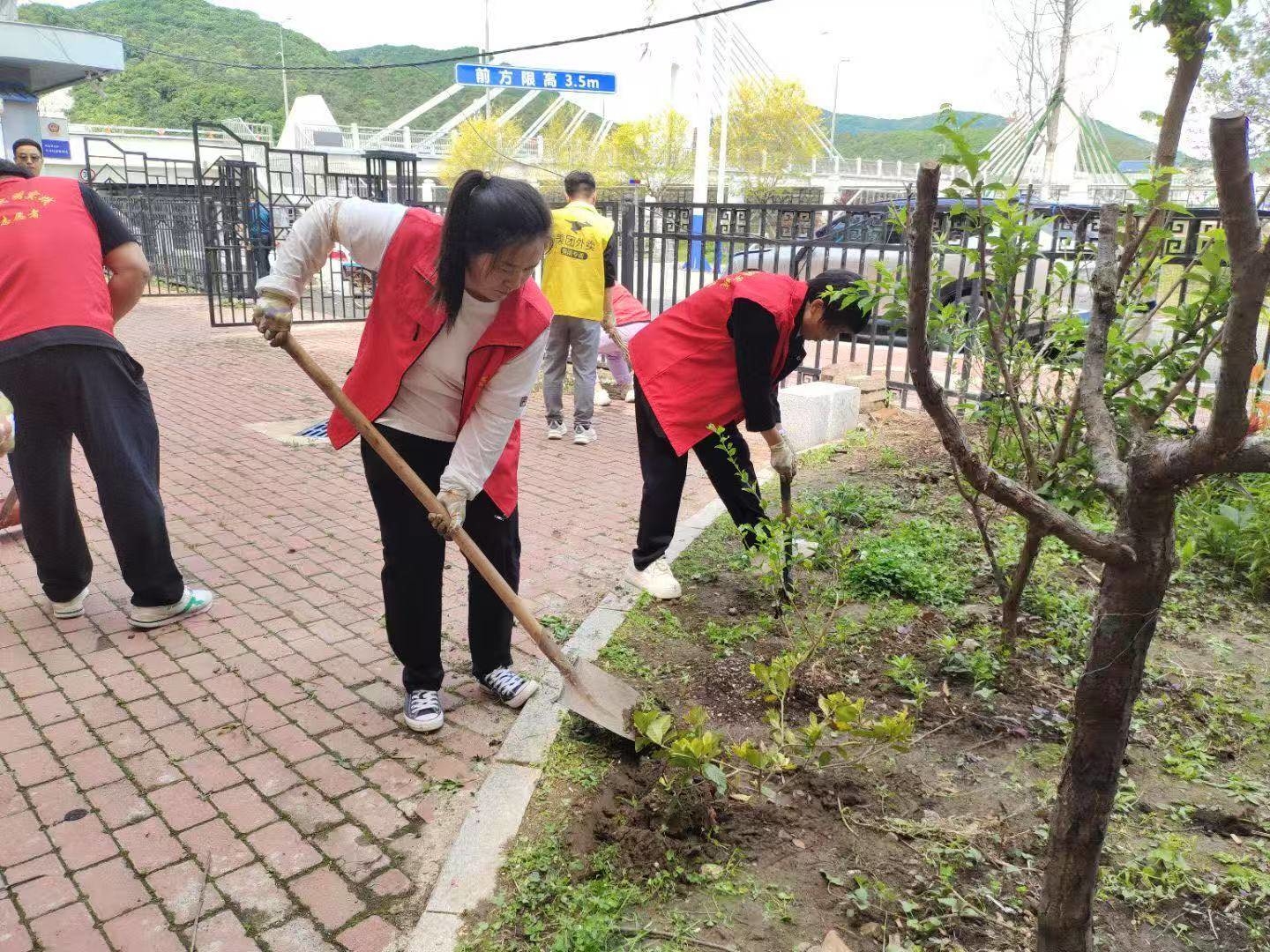 永吉县口前镇河北社区：美化辖区环境 共建美好家园