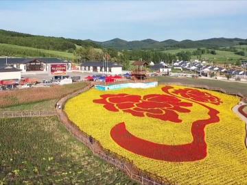 【文明双阳】太平镇小石村获评“全国文明村镇”