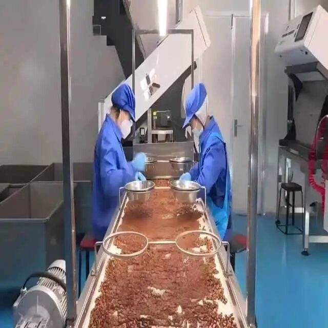 供应链金融赋能，全球松子产业之都喊你投资！