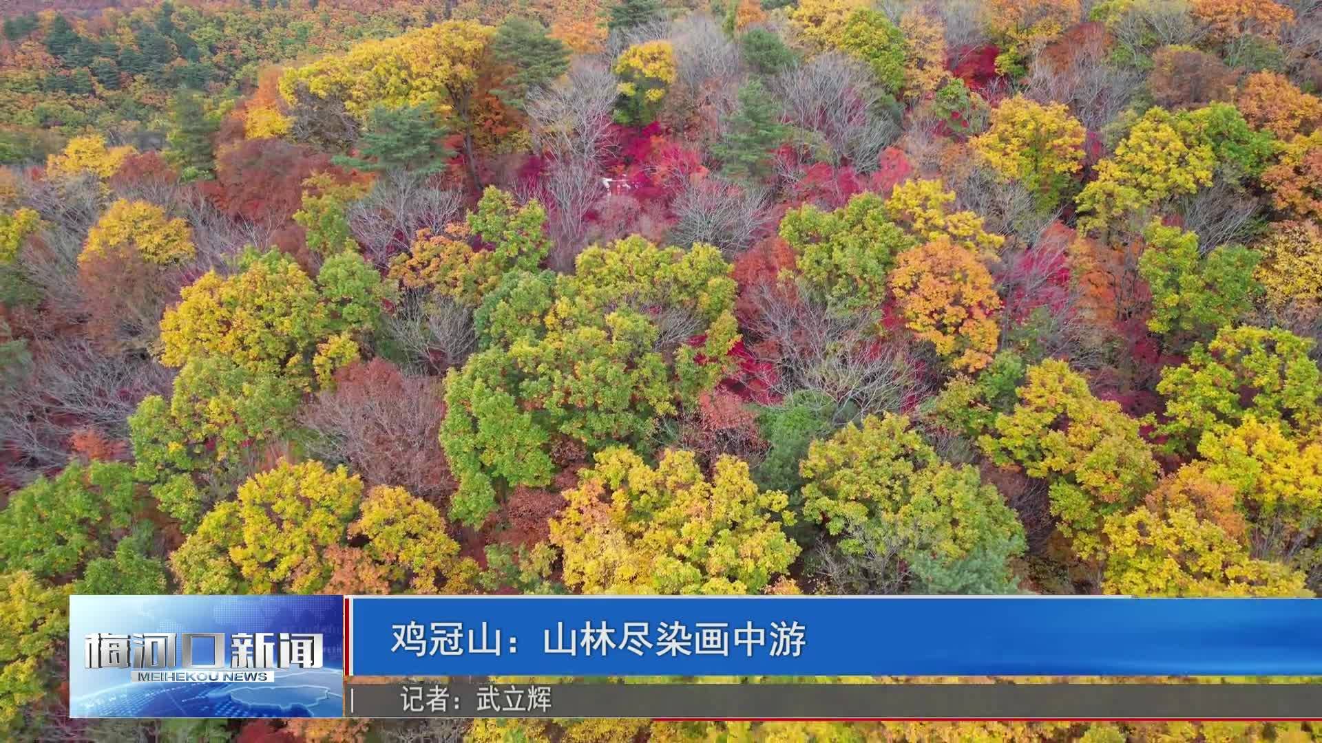 鸡冠山：山林尽染画中游