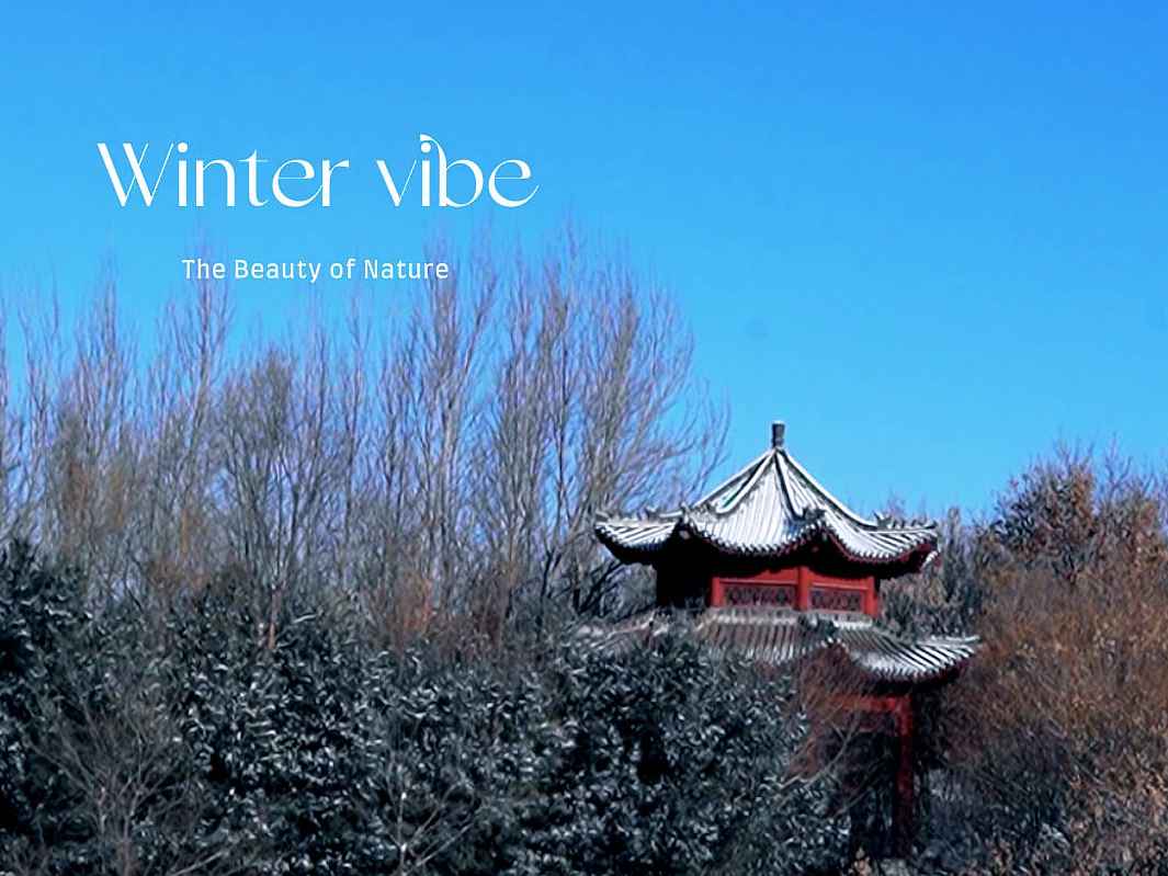 来梅河吧～带你拾捡冬日独属的那份小美好！