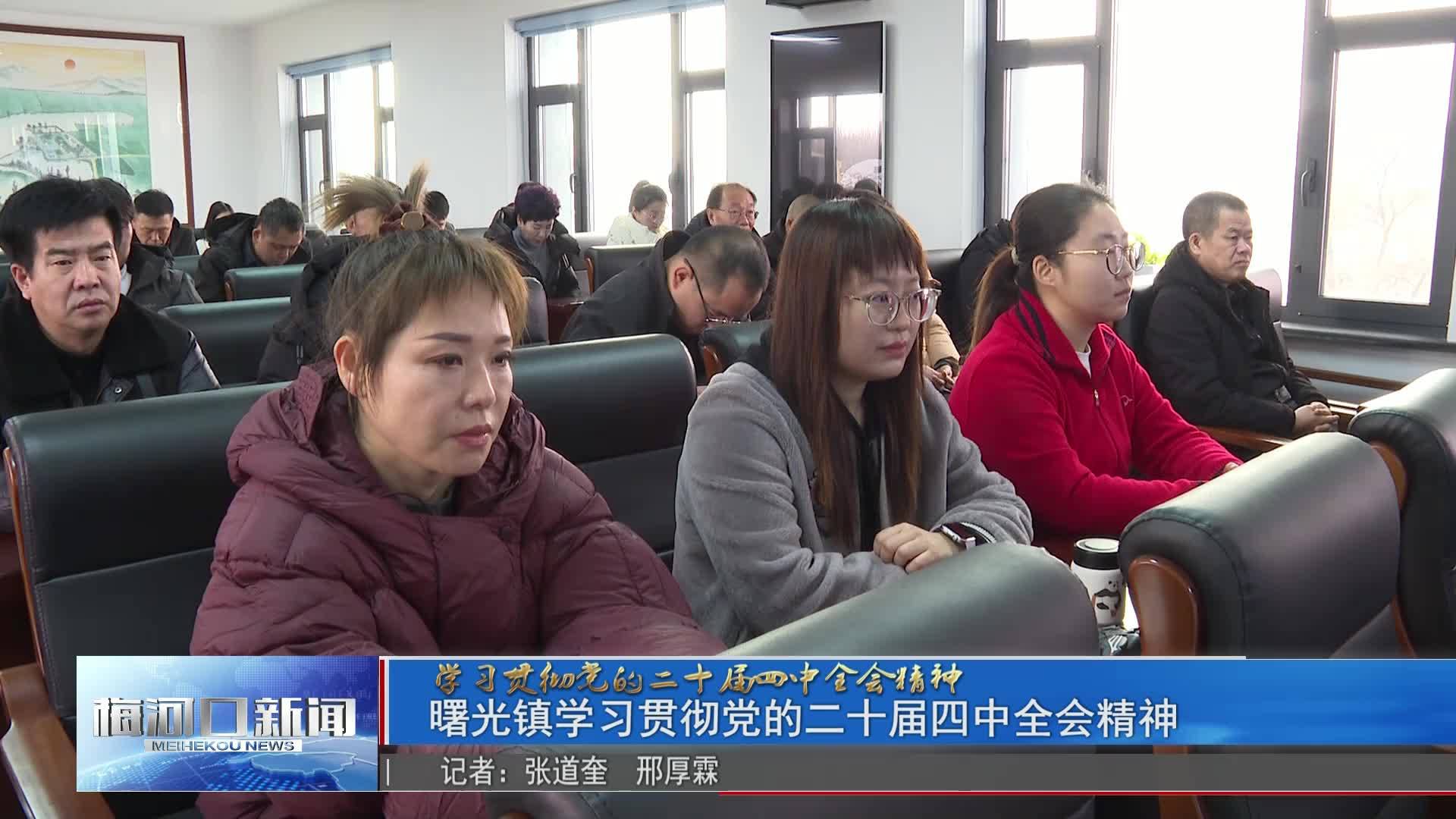 曙光镇学习贯彻党的二十届四中全会精神