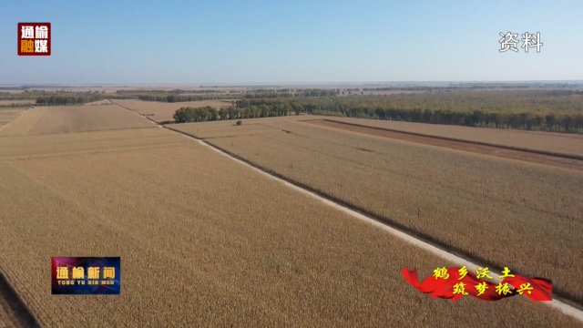 【鹤乡沃土 筑梦振兴】八面乡：政策春风暖民心 奋斗逐梦富民生