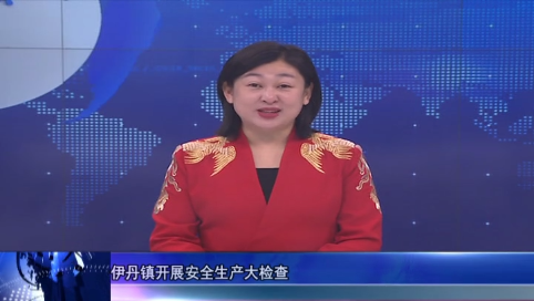 伊丹镇开展安全生产大检查