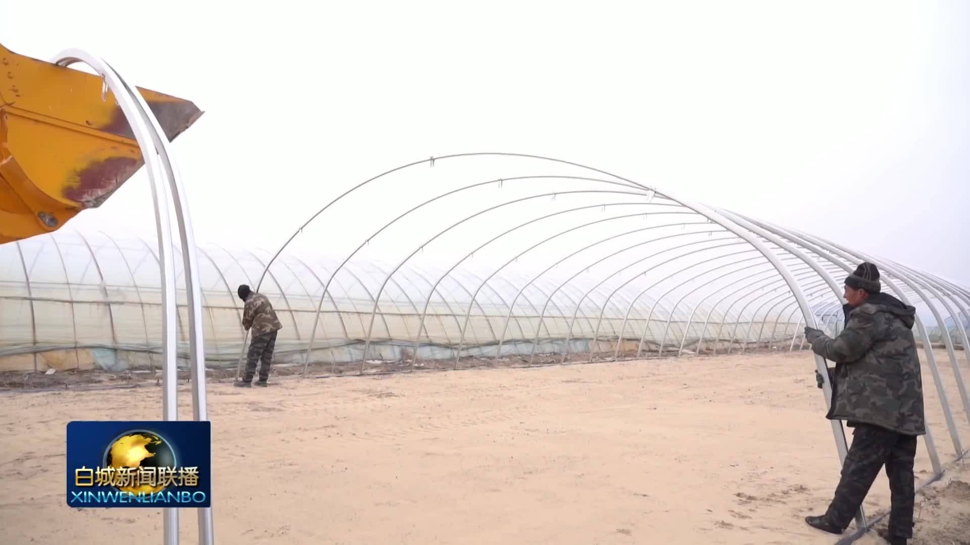 希望的田野丨白城：多措并举 扎实推进备春耕各项工作