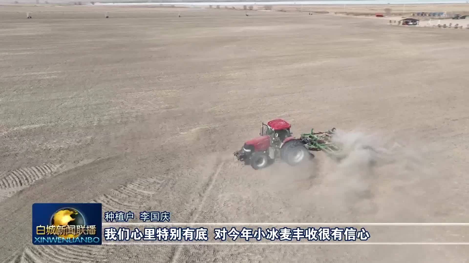 希望的田野丨抢抓春耕好时节  洮南全力推进小冰麦播种