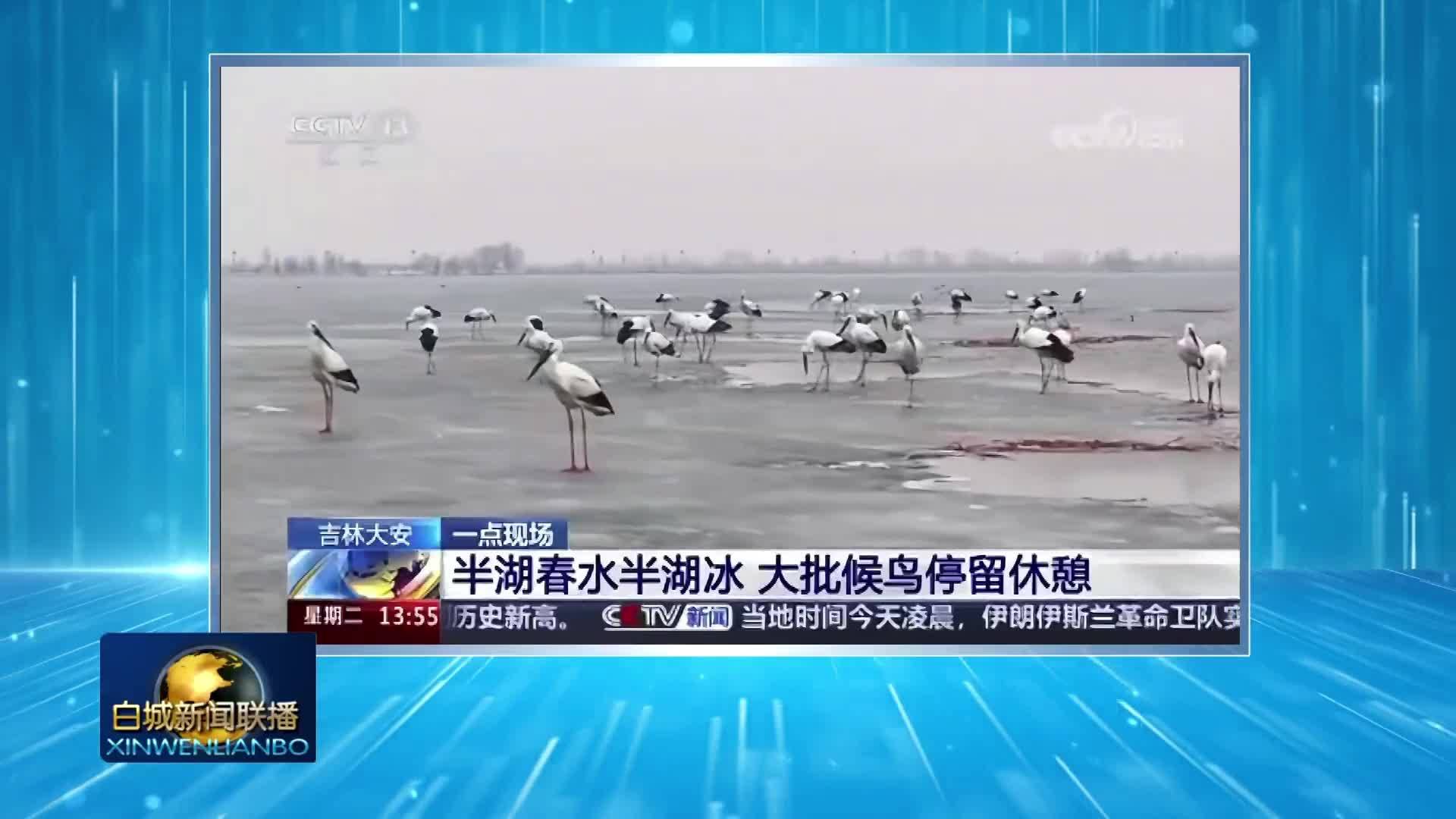 央媒看白城丨央级媒体持续关注我市春耕生产 项目建设 生态治理等方面工作