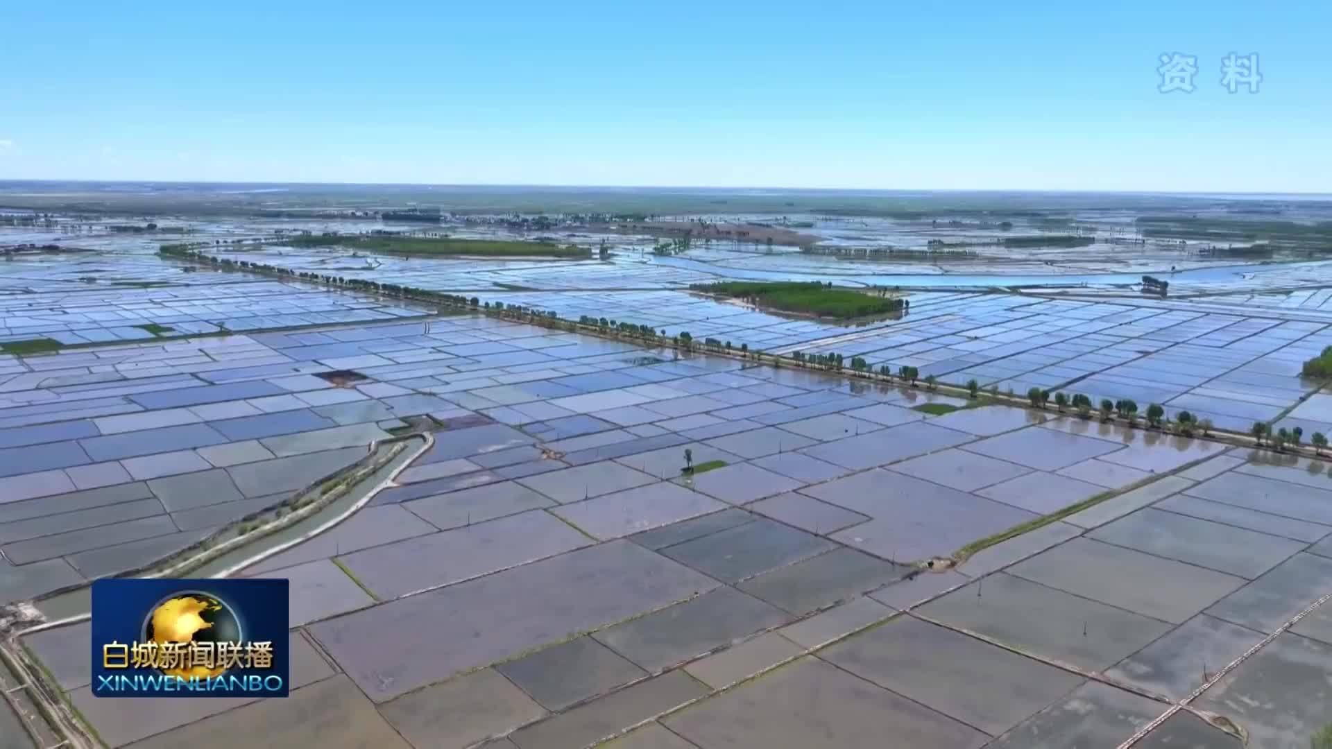 希望的田野丨镇赉：科技赋能抢农时 春潮涌动备春耕