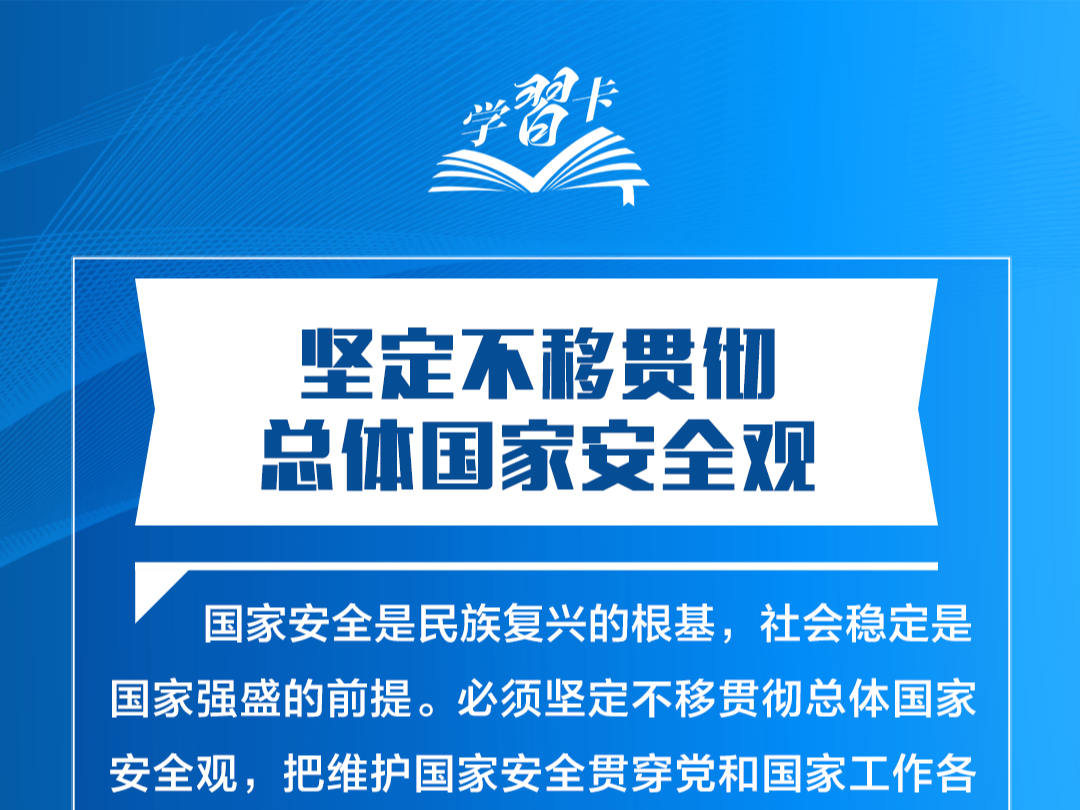 &ldquo;国家安全是民族复兴的根基，社会稳定是国家强盛的前提&rdquo;