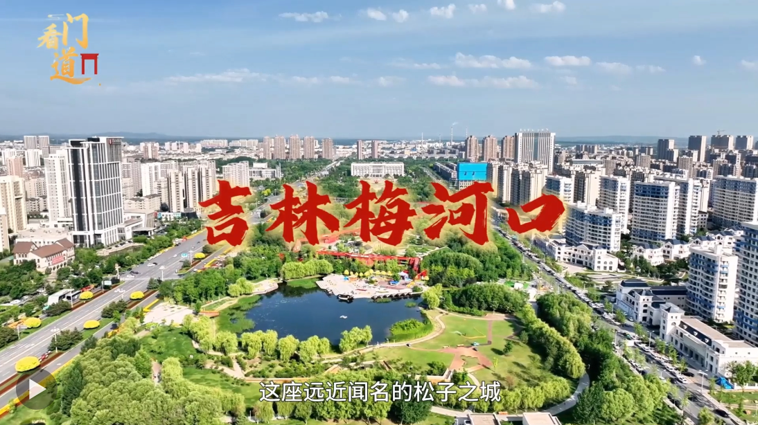 看门道丨全球约7成松子，为何来自这座东北小城？