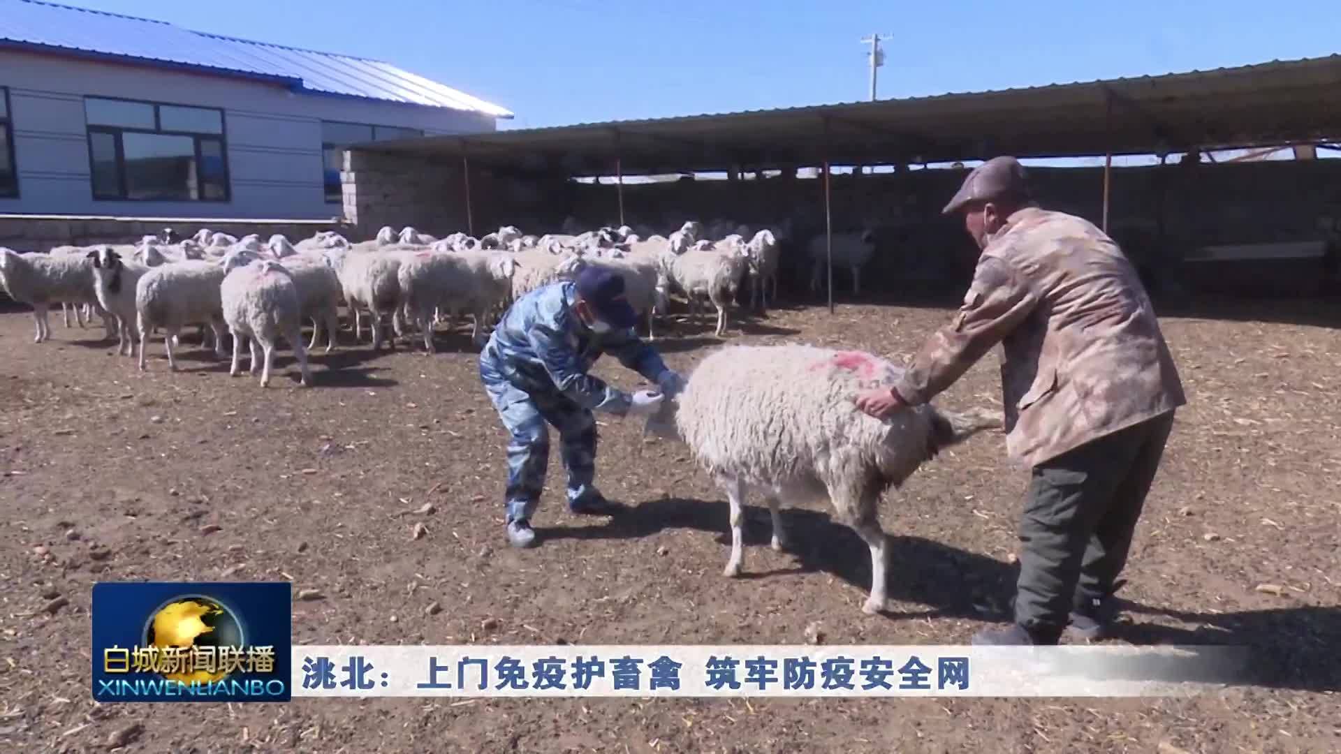 洮北：上门免疫护畜禽 筑牢防疫安全网