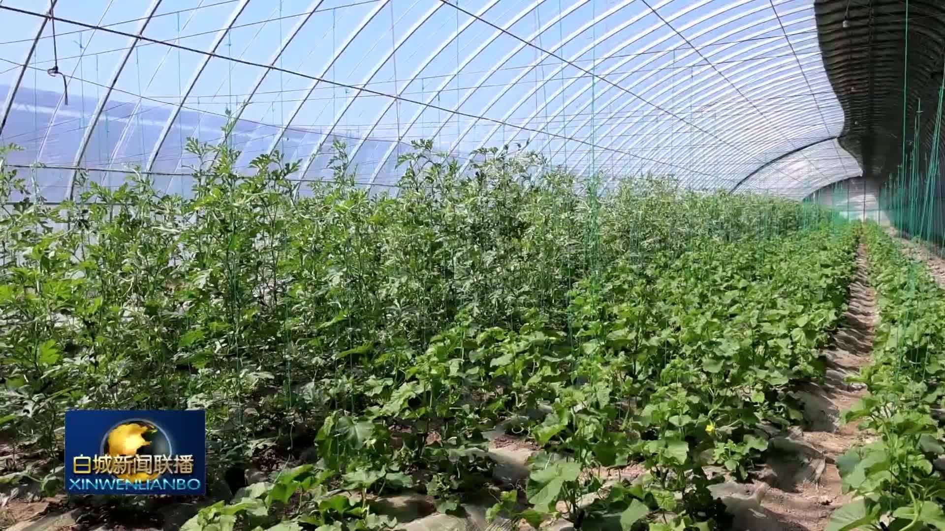 高质量发展新答卷丨我市特色农业驶入高质量发展快车道