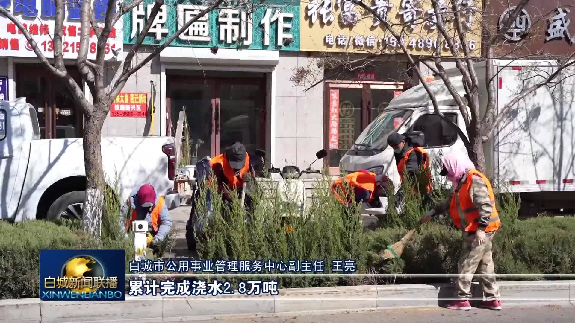 高质量发展新答卷丨增绿补绿焕新颜 生态白城入画来