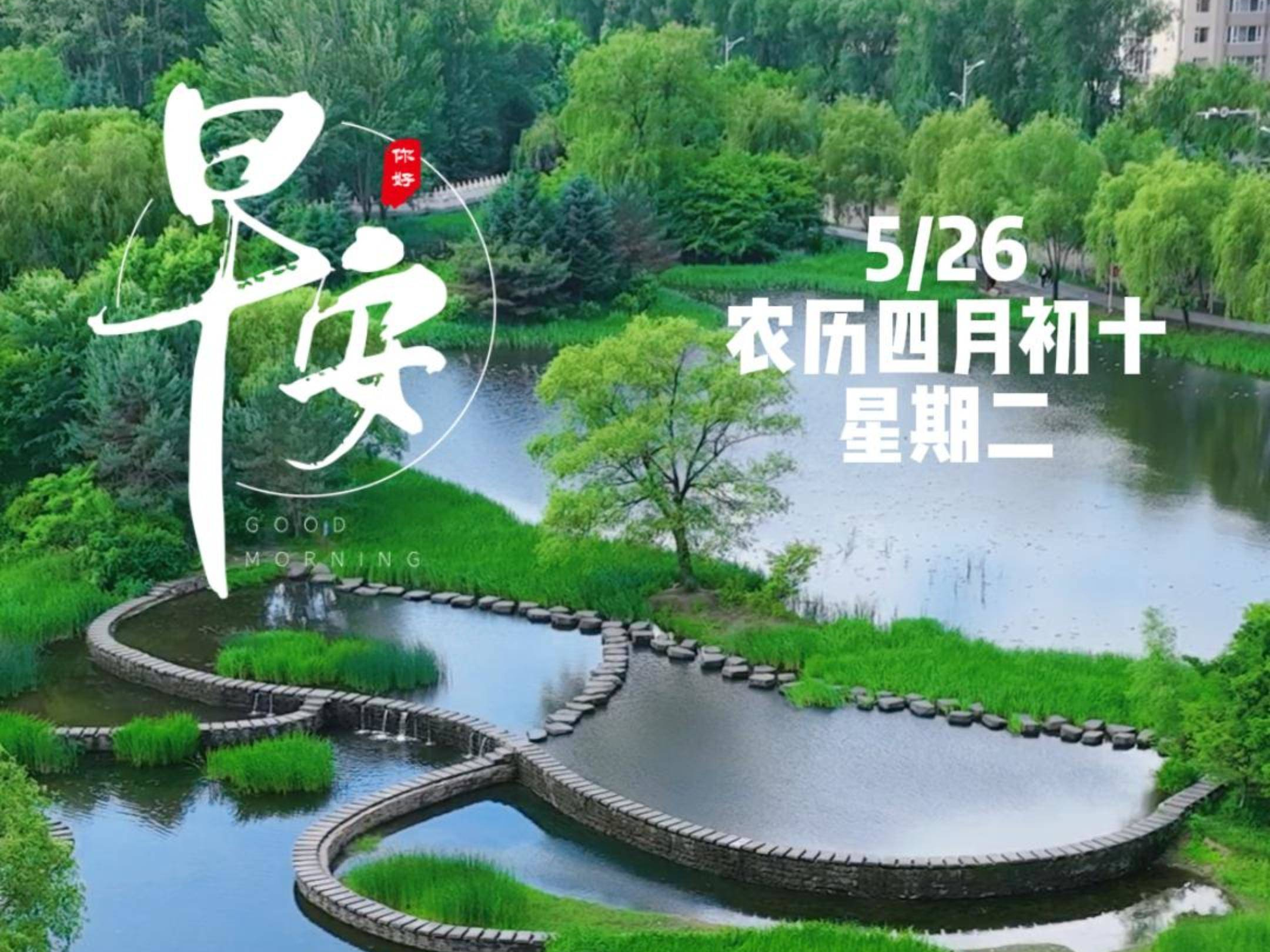 早安&middot;梅河口｜把夏天搬进梅城