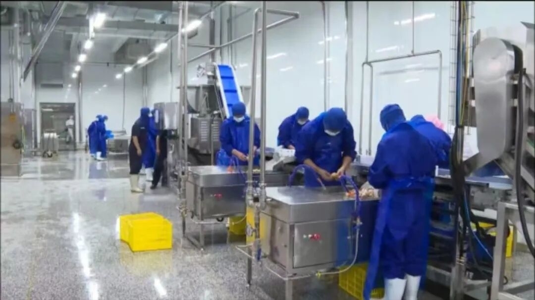 总投资2.16亿元！耘垦牧业白羽肉鸡屠宰设备更新改造项目进入调试阶段