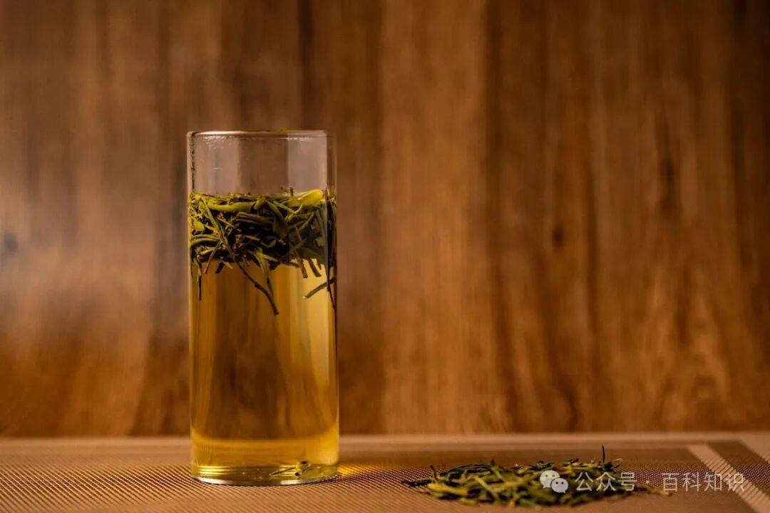 百科知识丨茶也可以入药哦