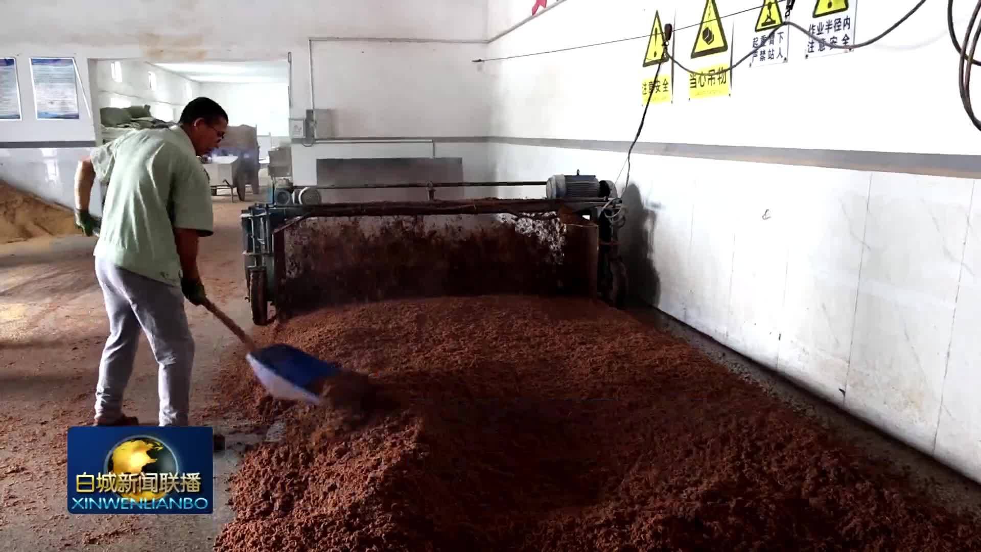 白城制造丨镇赉香酒业有限公司：一捧原粮百年匠心 小高粱酿就地域新名片