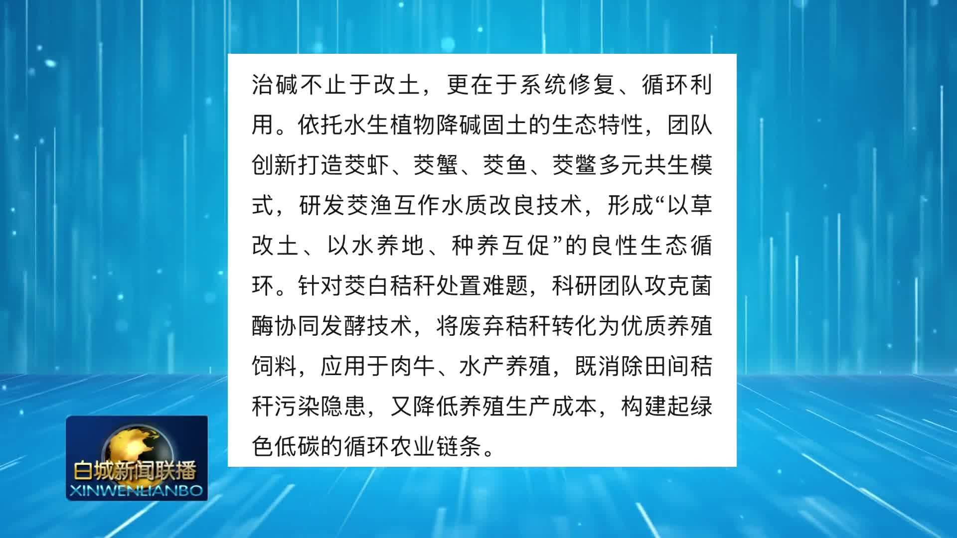 央媒看白城丨中央级媒体持续关注我市新能源产业、特色种植和农业丰收等方面工作