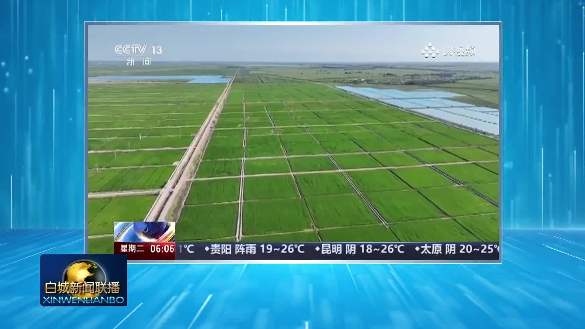 央媒看白城丨中央级媒体持续关注我市盐碱地综合利用、稻渔特色产业培育等方面工作
