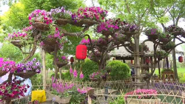 夏日畅游梅河口市知北村 民俗烟火引客来