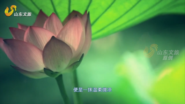 古诗词里寻清凉&nbsp;｜跟着古诗词学古人清雅纳凉