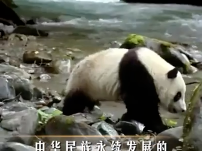 习言道｜良好生态环境是最普惠的民生福祉