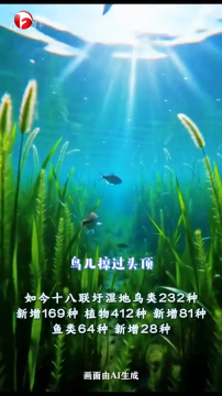 全国生态日 ｜小水滴奇遇记 绿水青山就是金山银山